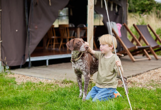 Junge spielt mit Hund vor einem Zelt bei Feather Down Heydon Grove Farm Ferienpark in England, UK.