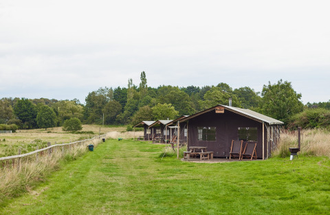 Imagen del parque vacacional Feather Down Heydon Grove Farm en el este de Inglaterra con tiendas y campo.