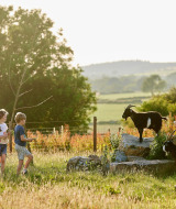 Børn udforsker en mark med geder ved Feather Down Warren Farm feriepark i det sydvestlige England.