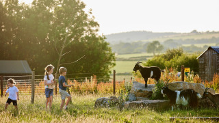 Niños exploran un campo con cabras en Feather Down Warren Farm, un parque vacacional en el suroeste de Inglaterra.