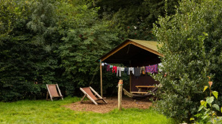 Tenda safari nel bosco con stendibiancheria, due sdraio, un'amaca e tavolo da picnic all'esterno.