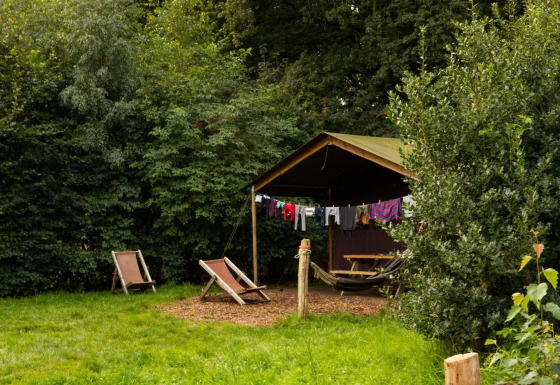 Tienda safari en el bosque con tendedero de ropa, dos tumbonas, hamaca y mesa de picnic afuera.
