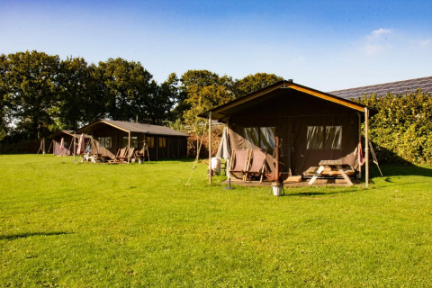 Tiendas safari sobre césped verde con árboles al fondo y cielo despejado, perfectas para el glamping.