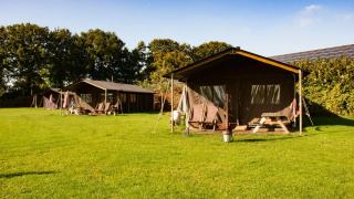 Tende safari su prato verde con alberi sullo sfondo e cielo sereno, perfette per il glamping all'aperto.