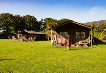 Safari telte på en grøn mark med træer i baggrunden under en klar blå himmel, ideel til glamping.