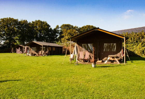 Tiendas safari sobre césped verde con árboles al fondo y cielo despejado, perfectas para el glamping.