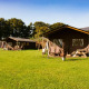 Safari telte på en grøn mark med træer i baggrunden under en klar blå himmel, ideel til glamping.