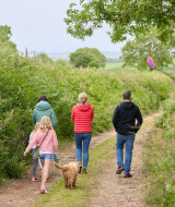 Familia con niños y un perro paseando por un sendero natural en Feather Down Gwel Teg Farm, Inglaterra.