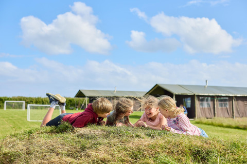 Kinder spielen und lachen auf einem Hügel vor Zelten und Fußballtoren im Feather Down Gwel Teg Farm Ferienpark.