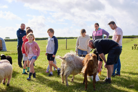 Familles et enfants interagissent avec des animaux à Feather Down Gwel Teg Farm dans le sud-ouest de l'Angleterre, Royaume-Uni.