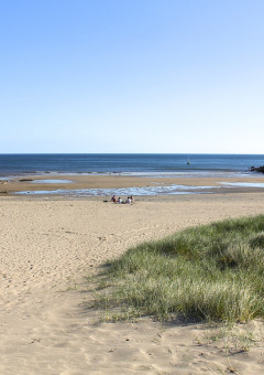 Vista de playa arenosa en un parque vacacional con dunas, ideal para glamping y descanso costero.