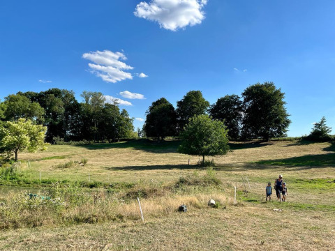 Gezin wandelt in een zonnige weide met bomen op de achtergrond bij Feather Down La Ferme de Fontenille, Spanje.