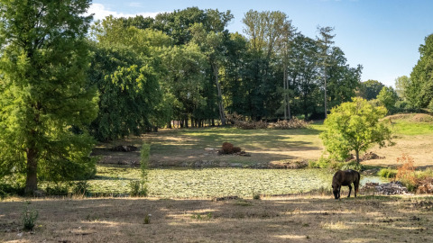Landschaft mit einem Pony, grünen Bäumen und einem Teich im Feather Down La Ferme de Fontenille Park.