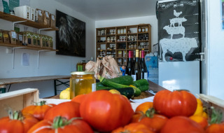Frisches Gemüse, Wein und regionale Produkte in einem Laden bei Feather Down La Ferme de Fontenille.