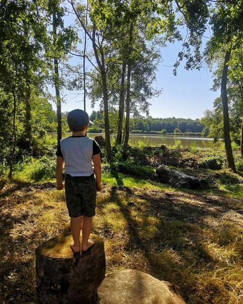 Un bambino in piedi a piedi nudi su un ceppo osserva un lago a Feather Down La Ferme de Fontenille.