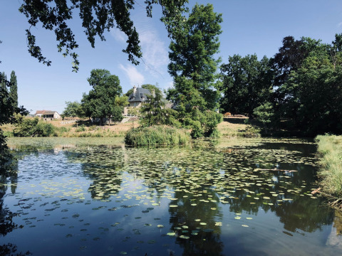 Idyllischer Teich mit Seerosen, umgeben von Bäumen und einem Haus im Hintergrund in La Ferme de Fontenille.