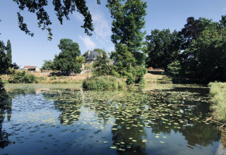 Smuk udsigt over en dam med åkander, grønne træer og et hus i baggrunden på La Ferme de Fontenille.