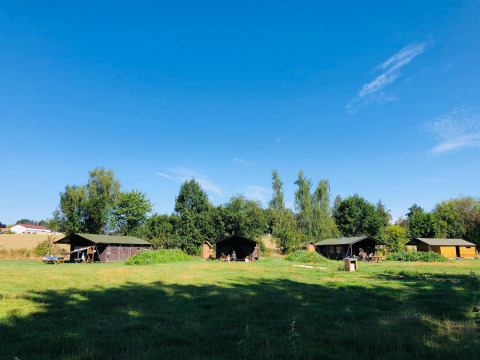 Vier Zelte und eine Hütte auf einer Wiese vor Bäumen und blauem Himmel bei Feather Down La Ferme de Fontenille.