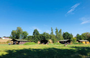 Cuatro tiendas y una cabaña en un campo de césped bajo cielo azul en Feather Down La Ferme de Fontenille.
