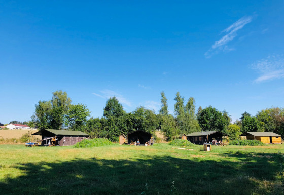 Cuatro tiendas y una cabaña en un campo de césped bajo cielo azul en Feather Down La Ferme de Fontenille.