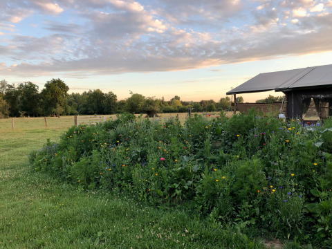 Beeld van een weelderige tuin naast een gebouw op Feather Down La Ferme de Fontenille tijdens zonsondergang.