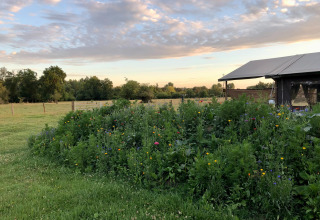 Beeld van een weelderige tuin naast een gebouw op Feather Down La Ferme de Fontenille tijdens zonsondergang.