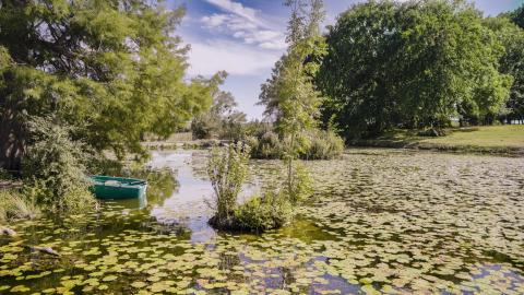 Étang aux nénuphars et barque verte à Feather Down La Ferme de Fontenille, parc de vacances.