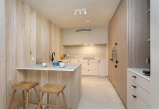 Modern kitchen with wooden panels, breakfast bar, and minimalist decor at Lodge with Jacuzzi at Woodz Lodges in Belgium.