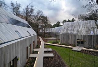Foto de modernos alojamientos con fachadas de madera y pasarelas, rodeados de bosque y áreas verdes.