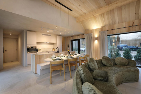 Salon et cuisine modernes à Villa Lodge avec jacuzzi à Woodz Lodges, Belgique, lumière naturelle et bois.