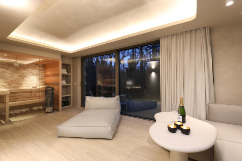 Suite Wellness moderna en Woodz Lodges, Bélgica, con sala acogedora, sauna y vistas al bosque.