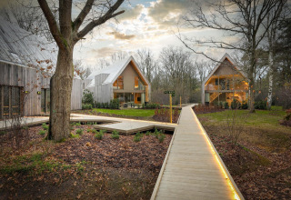Cabañas modernas de madera en Lodge at Woodz Lodges en Bélgica con pasarela iluminada en bosque.