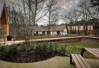 Vista de una cabaña en Woodz Lodges en Bélgica, rodeada de árboles, vegetación y bancos modernos.