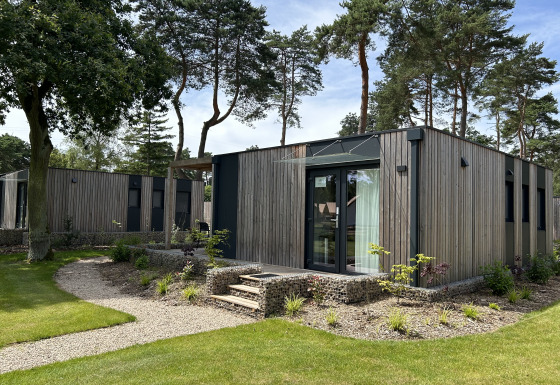 Modern chalet Domus 4 met houten buitenkant en grote ramen, omringd door bomen en gazon.