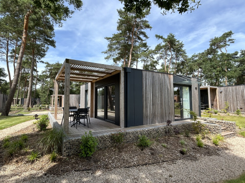 Chalet moderne Domus 4 en bois au Zilverstrand, Belgique, avec terrasse entouré d’arbres verts.