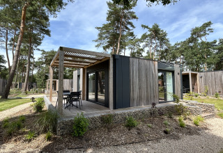 Modern houten chalet Domus 4 op Zilverstrand in België met terras tussen de bomen.