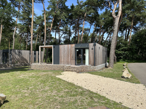 Modern chalet Domus 4 op Zilverstrand in België, omgeven door dennen en een grindpad in het groen.