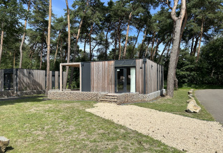 Chalet moderne Domus 4 au Zilverstrand en Belgique, entouré de pins et d’un chemin gravillonné.