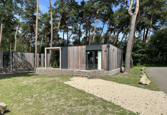 Modern chalet Domus 4 op Zilverstrand in België, omgeven door dennen en een grindpad in het groen.