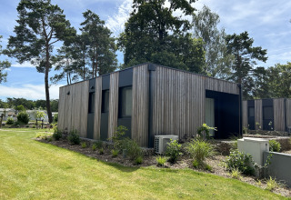 Chalet Domus 4 aan het Zilverstrand in België, modern houten huis omringd door bomen en verzorgde tuin.