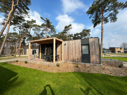 Moderne lodge Belsano 6 op Zilverstrand in België, met houten gevel, terras en omringd door bomen.