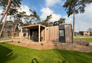 Lodge moderna Belsano 6 a Zilverstrand, Belgio, con esterno in legno, patio e alberi circostanti.