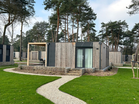 Moderne houten lodge op Belsano 6, Zilverstrand in België, omringd door grasvelden en hoge dennen.