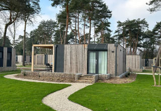 Moderne houten lodge op Belsano 6, Zilverstrand in België, omgeven door grasvelden en hoge dennen.