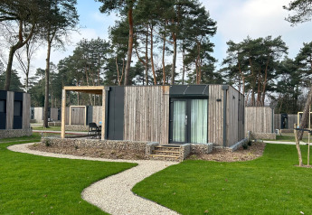 Cabaña moderna de madera en Belsano 6, Zilverstrand, Bélgica, rodeada de césped verde y altos pinos.