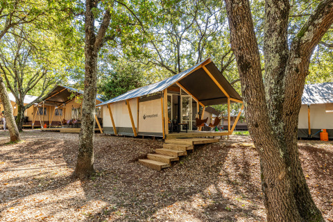 Tente safari Bella Vista avec climatisation, installée sur un camping boisé entouré de nature.