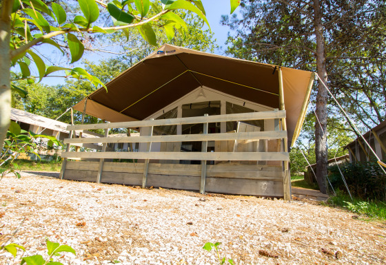 Tenda safari con veranda in legno coperta immersa nella natura tra alberi, fotografata dal basso.