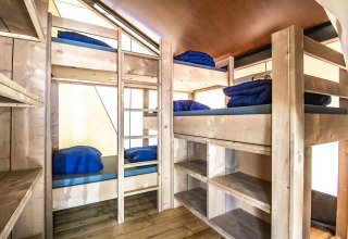 Innenansicht des Safari Tent Comfort mit vier Hochbetten aus hellem Holz, blauer Bettwäsche und Regalen.