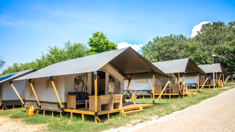 Rij Safari Tent Comfort-tenten met houten terras onder blauwe lucht, omgeven door bomen en groen.