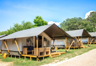 Rij moderne Safari Tent Comfort met veranda’s, omgeven door bomen en gras onder een blauwe lucht.